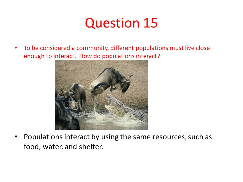 Question 15 To be considered a community, different populations must live close enough to interact. How do populations interact