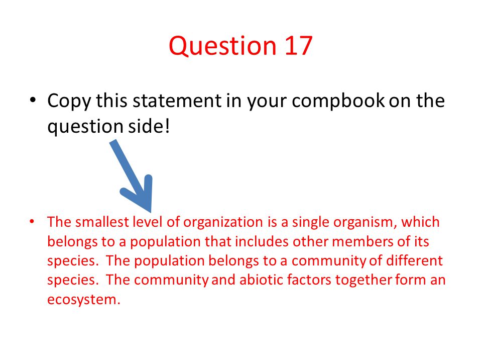 Question 17 Copy this statement in your compbook on the question side!