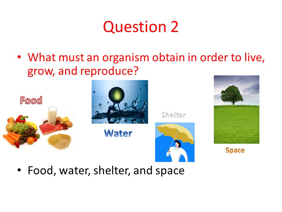 Question 2 What must an organism obtain in order to live, grow, and reproduce Food, water, shelter, and space.