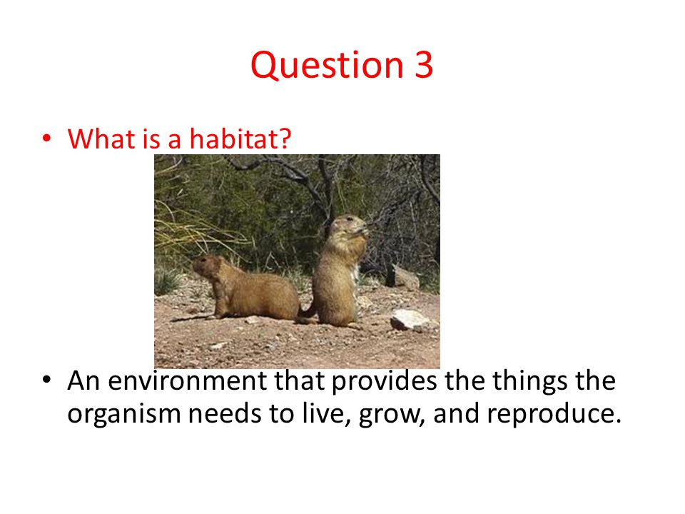 Question 3 What is a habitat