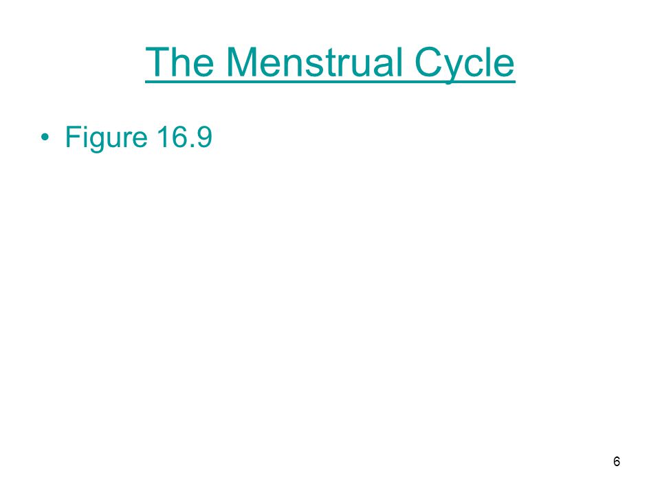 The Menstrual Cycle Figure 16.9