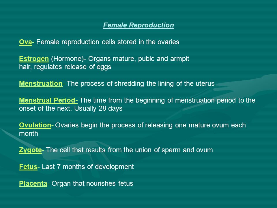 Female Reproduction Ova- Female reproduction cells stored in the ovaries. Estrogen (Hormone)- Organs mature, pubic and armpit.