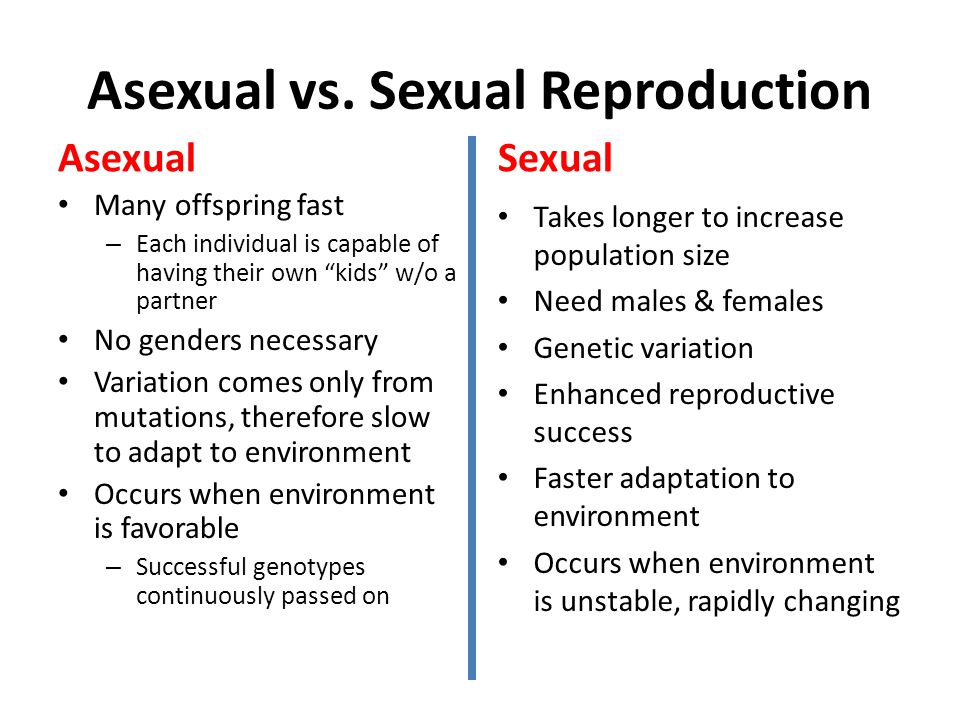 Asexual vs. Sexual Reproduction.