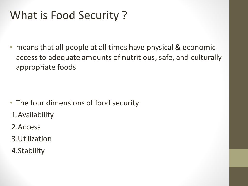 What is Food Security