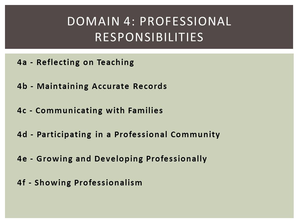 Domain 4: Professional Responsibilities