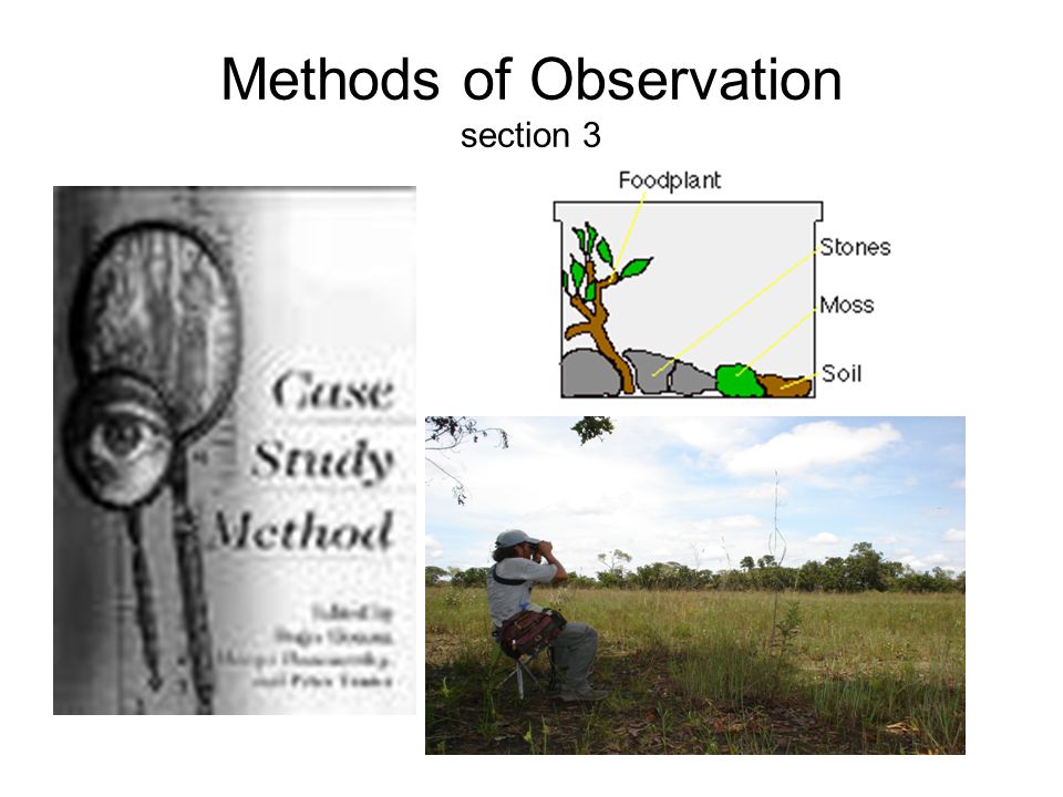 Methods of Observation section 3