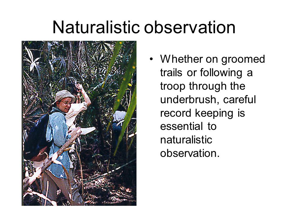 Naturalistic observation