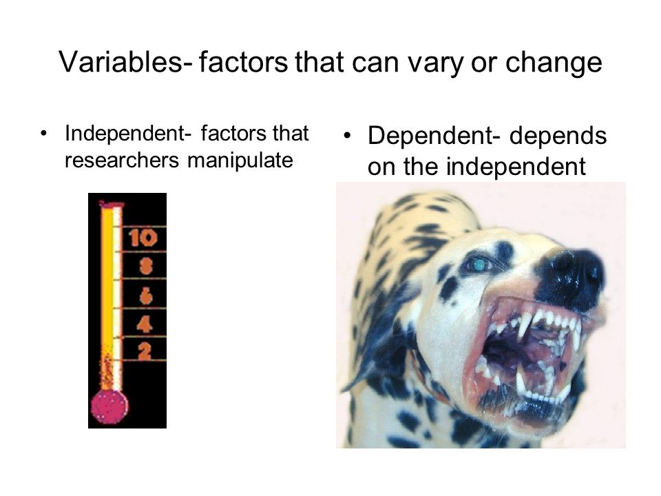 Variables- factors that can vary or change