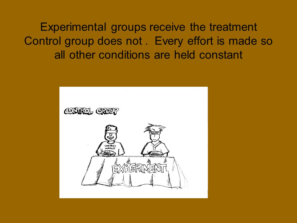 Experimental groups receive the treatment Control group does not