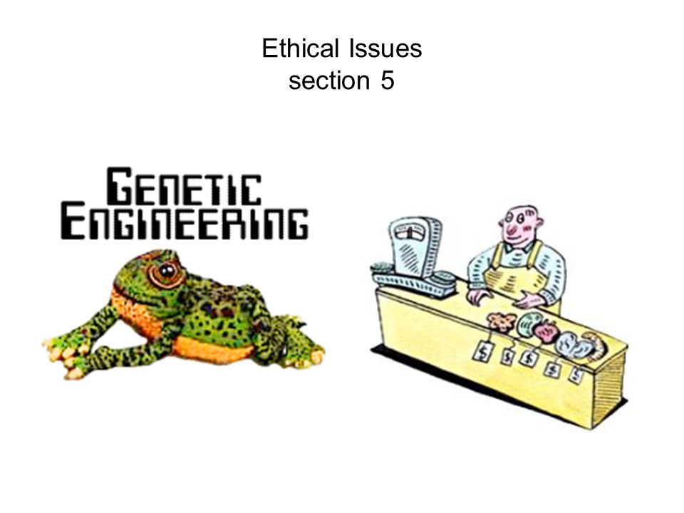 Ethical Issues section 5