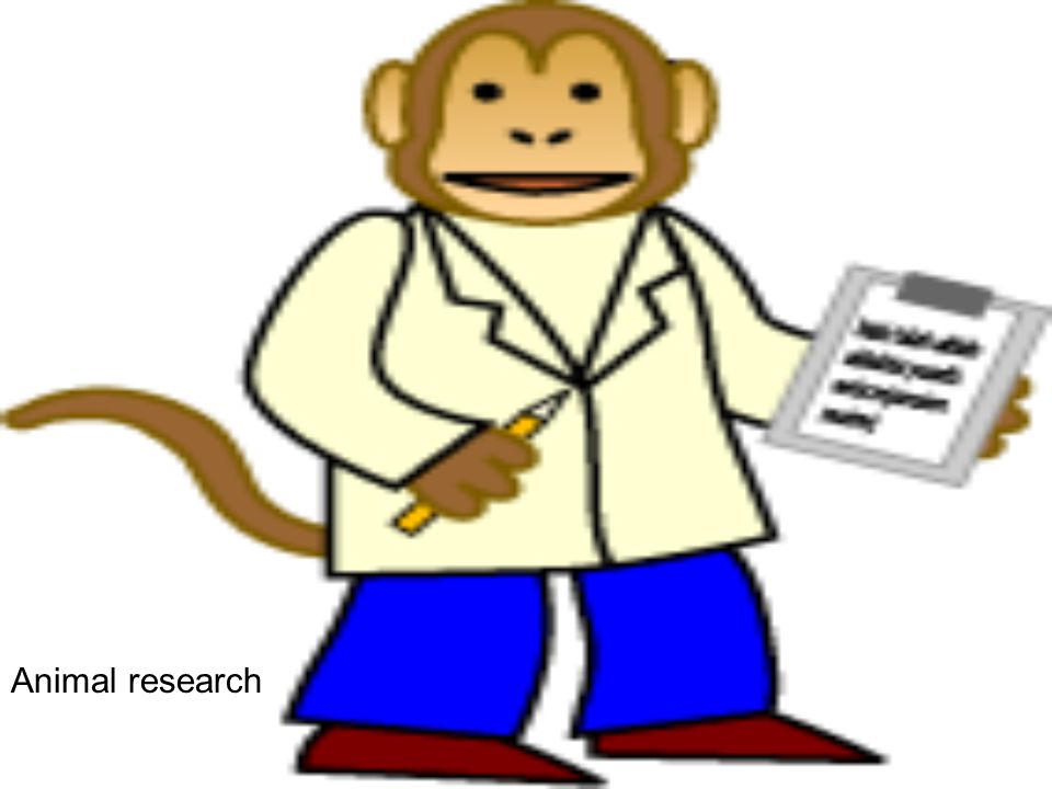 Animal research
