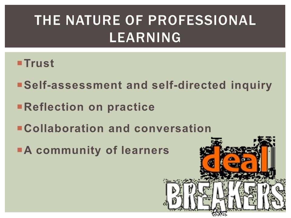 The Nature of Professional Learning