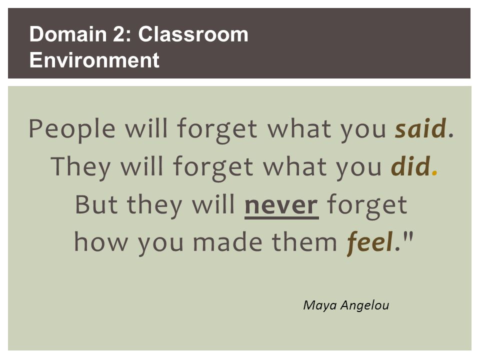 Domain 2: Classroom Environment