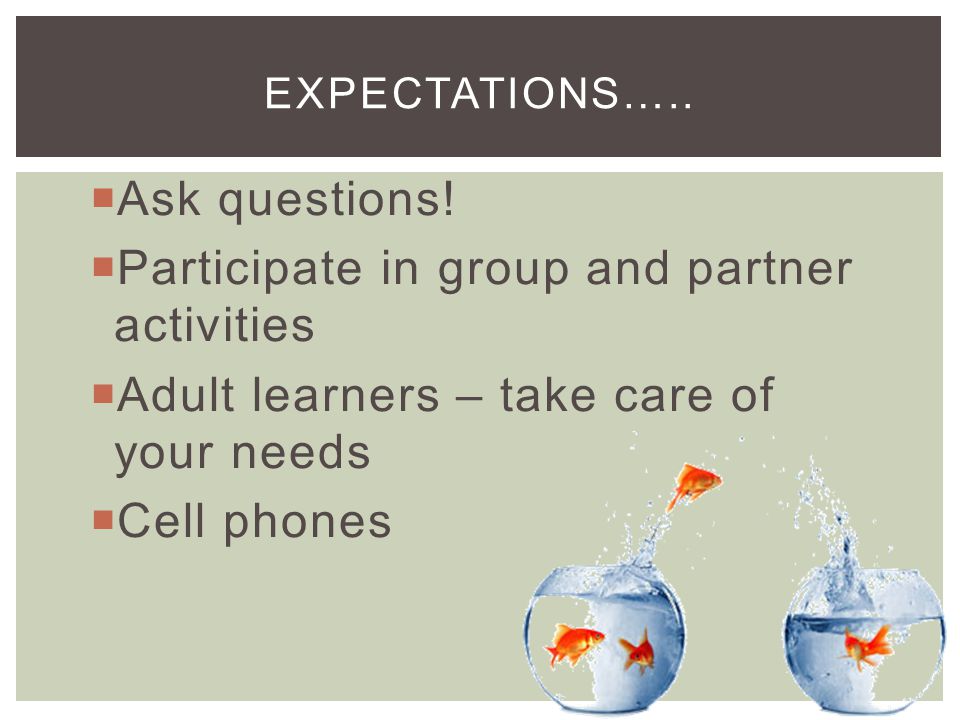 Participate in group and partner activities