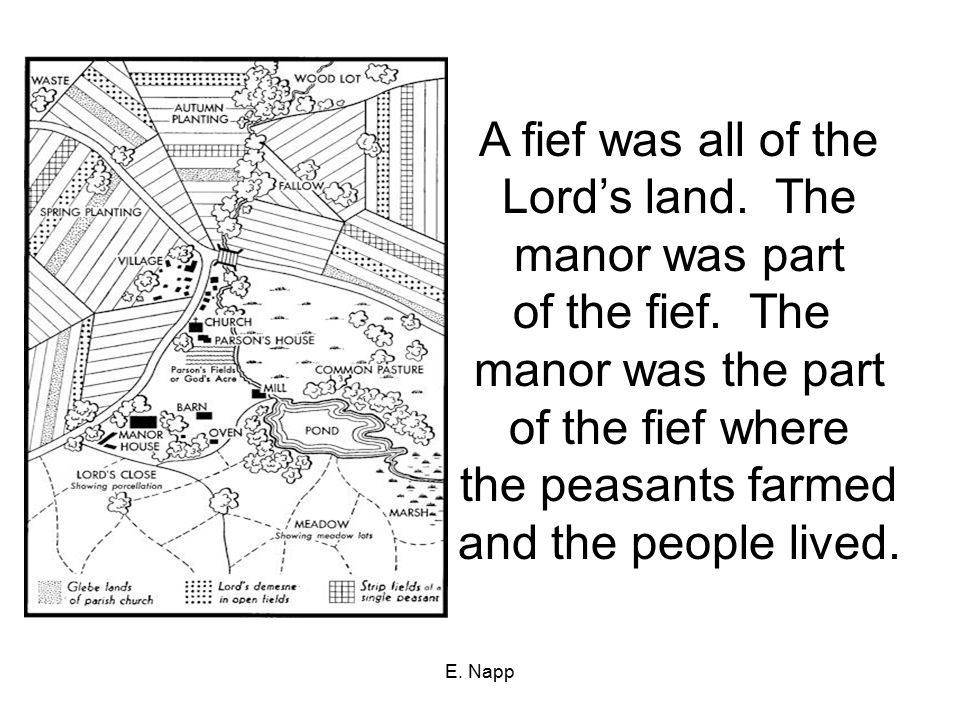 A fief was all of the Lord’s land. The manor was part of the fief. The