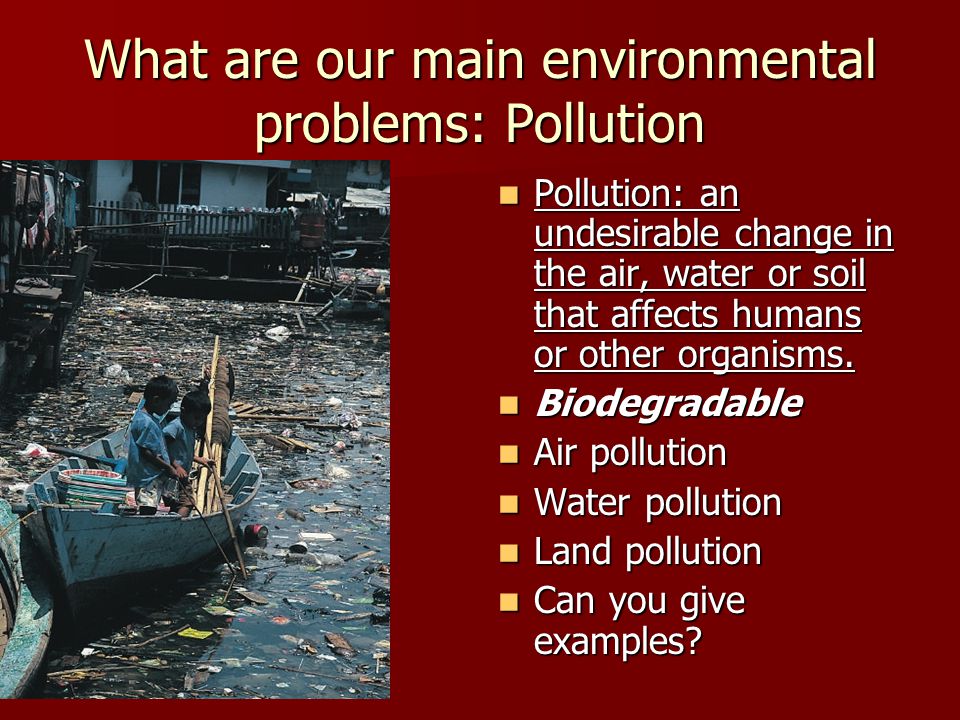 What are our main environmental problems: Pollution