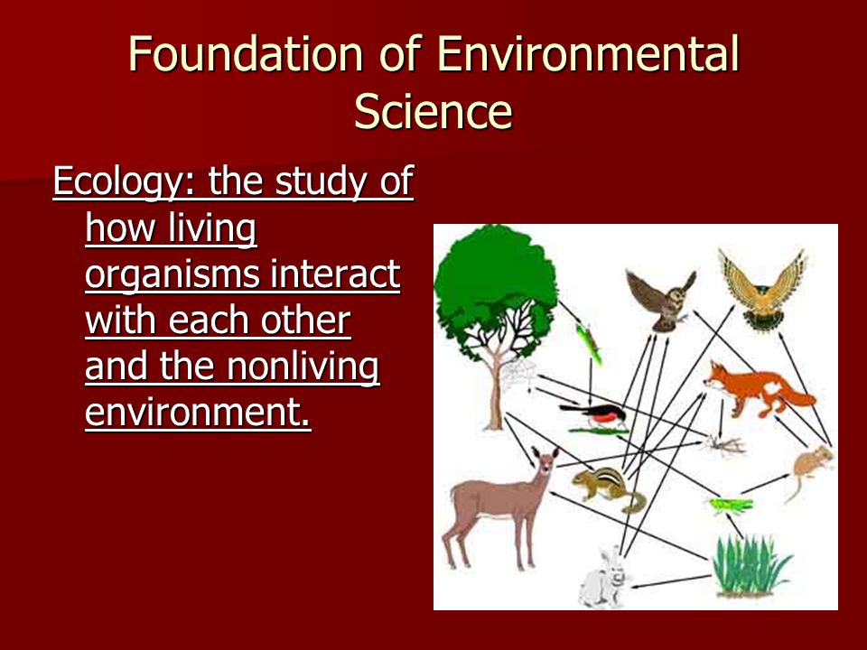 Foundation of Environmental Science