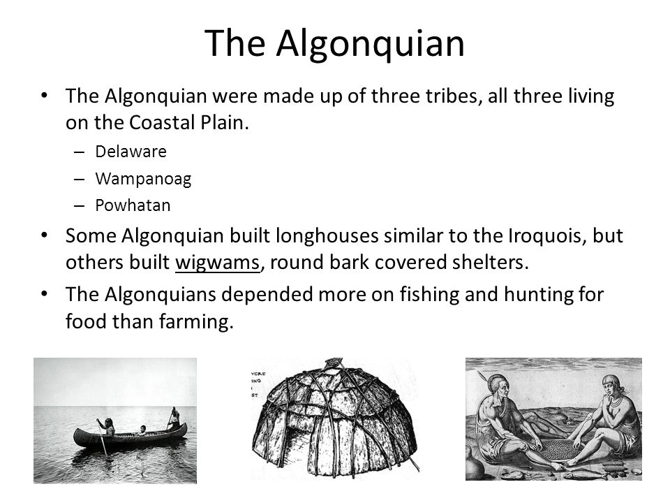 The Algonquian The Algonquian were made up of three tribes, all three living on the Coastal Plain. Delaware.