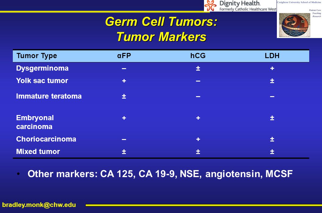 Treatment of “other” gynecologic cancers - ppt video online download