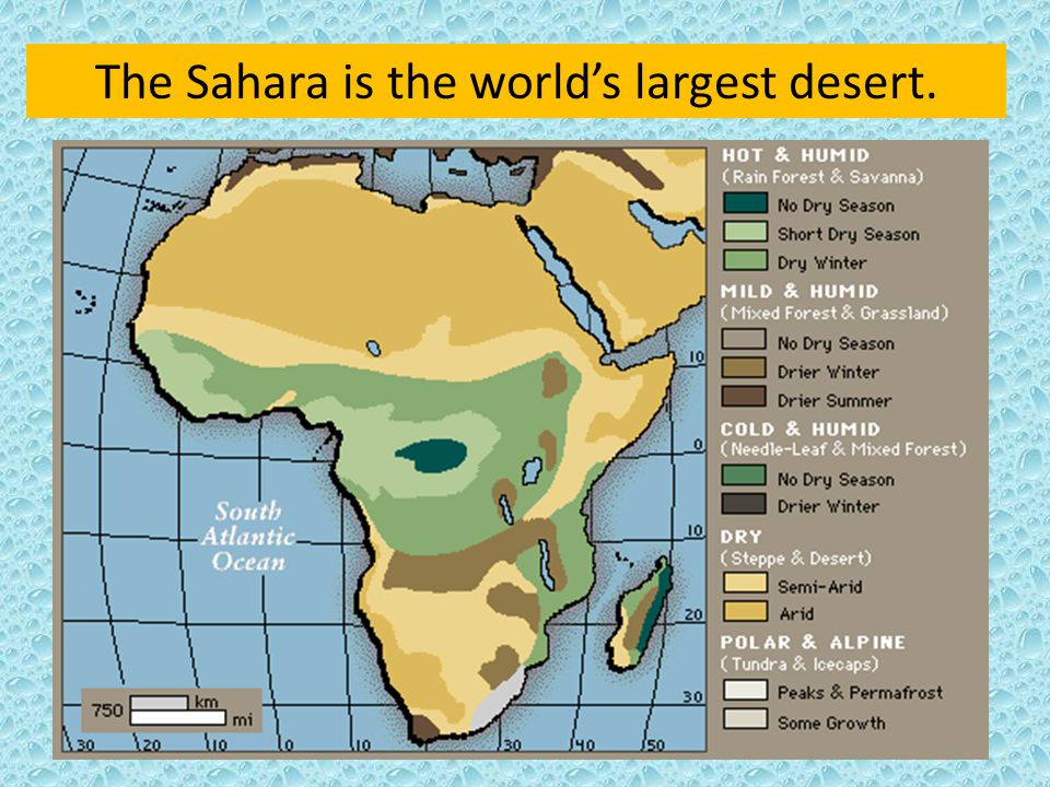 The Sahara is the world’s largest desert.