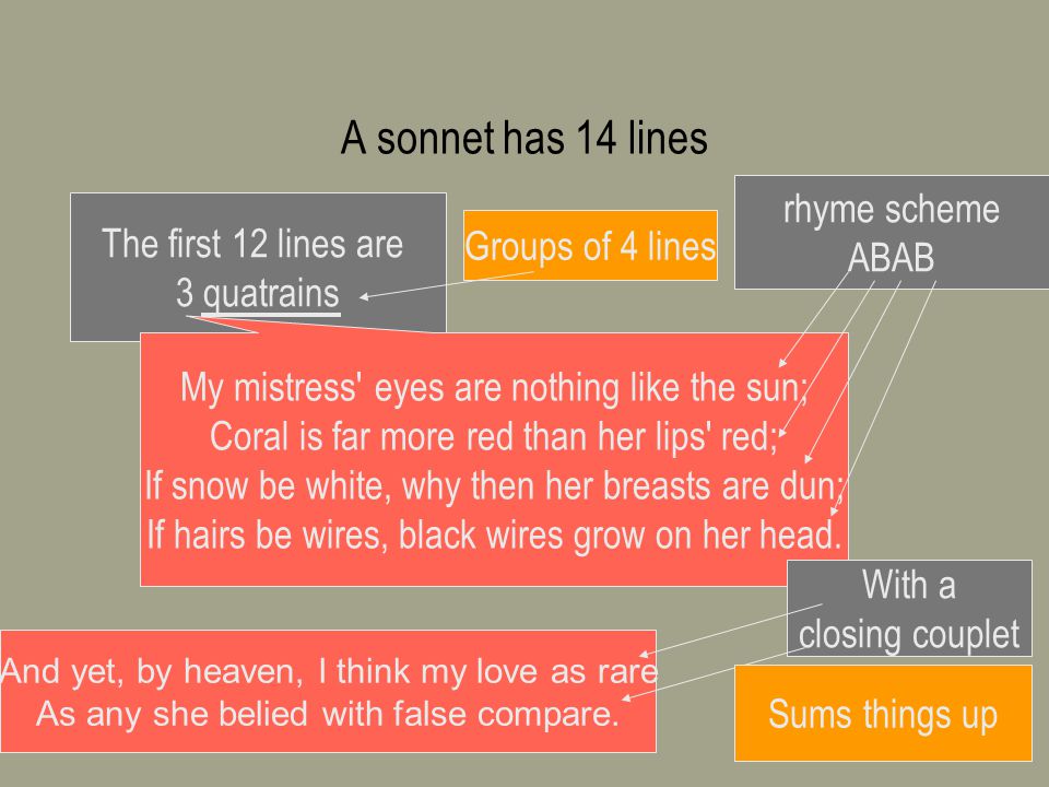 A sonnet has 14 lines rhyme scheme The first 12 lines are ABAB