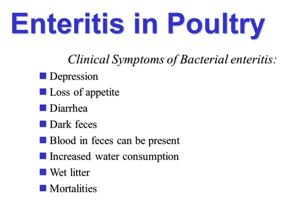 Enteritis symptoms