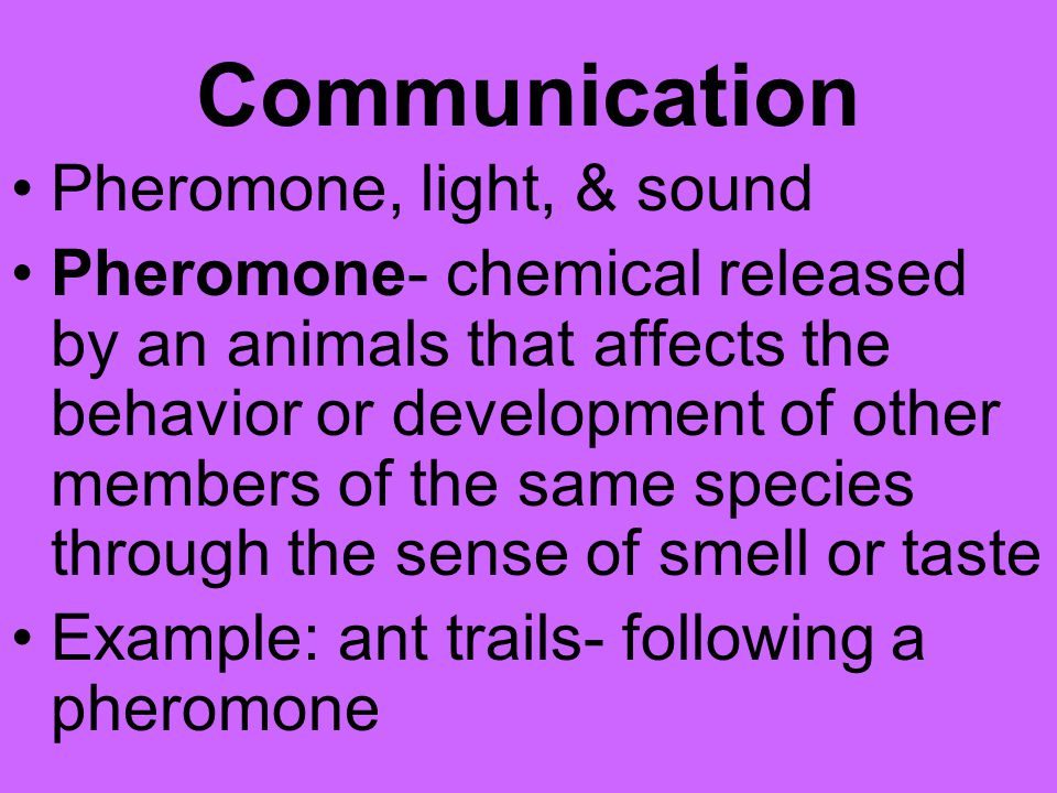 Communication Pheromone, light, & sound