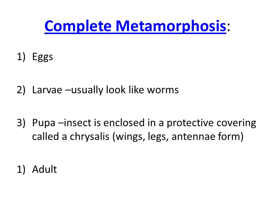 Complete Metamorphosis: