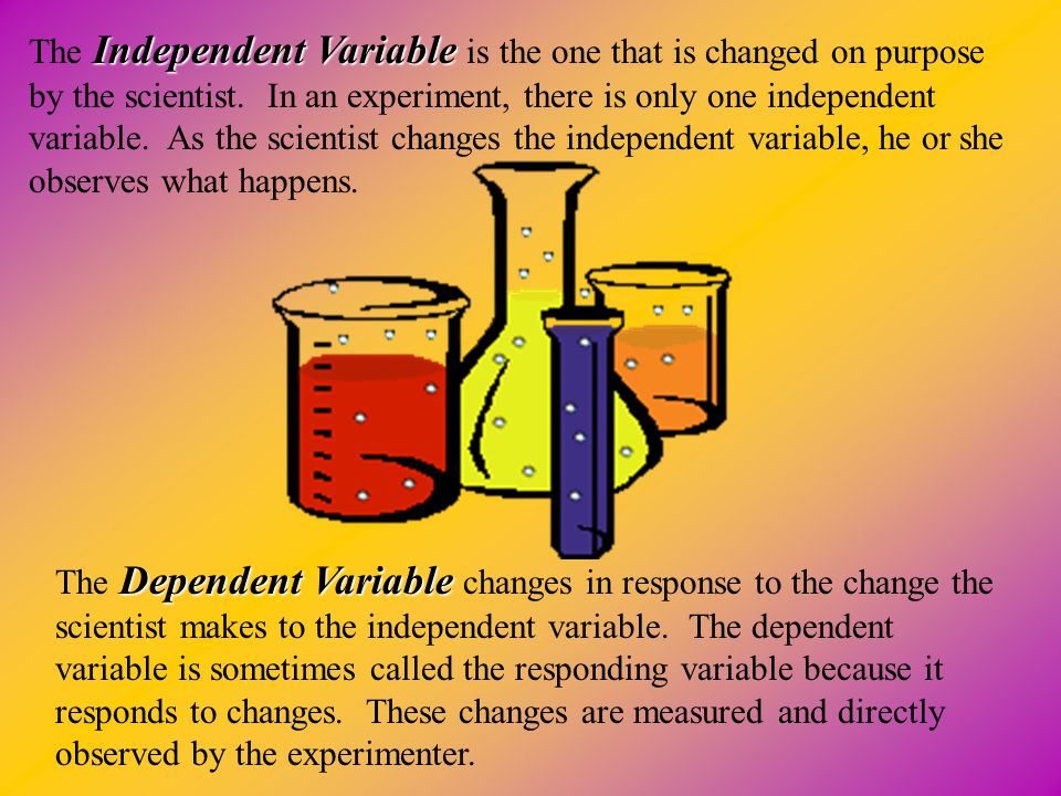 The Independent Variable is the one that is changed on purpose by the scientist. In an experiment, there is only one independent variable. As the scientist changes the independent variable, he or she observes what happens.