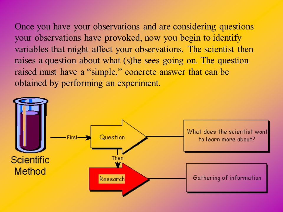 Once you have your observations and are considering questions your observations have provoked, now you begin to identify variables that might affect your observations.