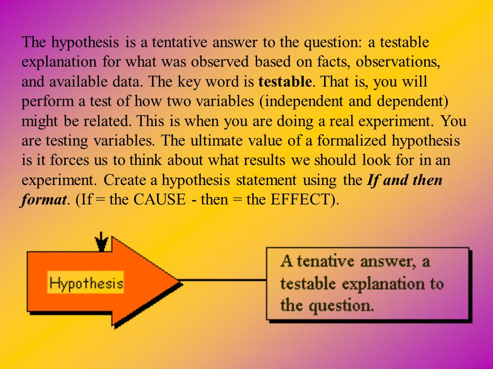 The hypothesis is a tentative answer to the question: a testable explanation for what was observed based on facts, observations, and available data.