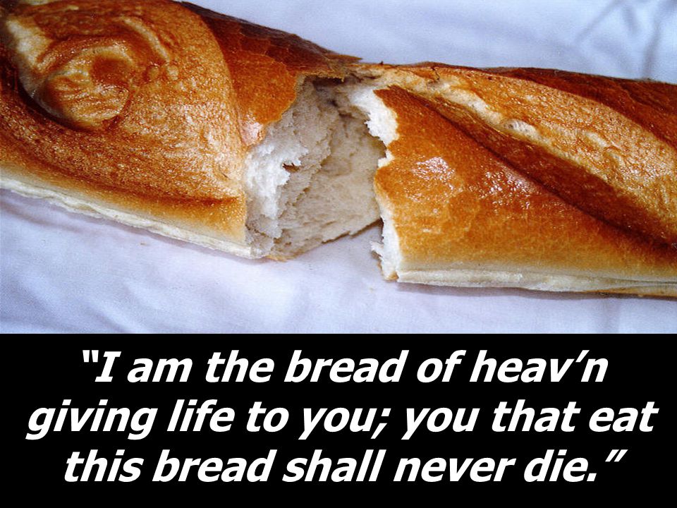 I am the bread of heav’n giving life to you; you that eat this bread shall never die.