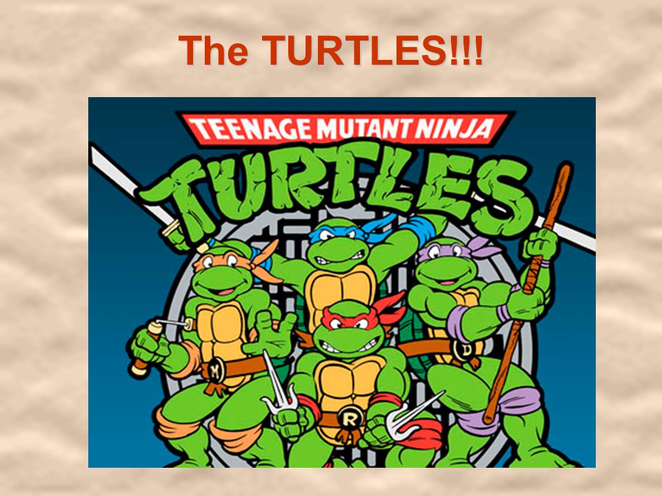 The TURTLES!!!