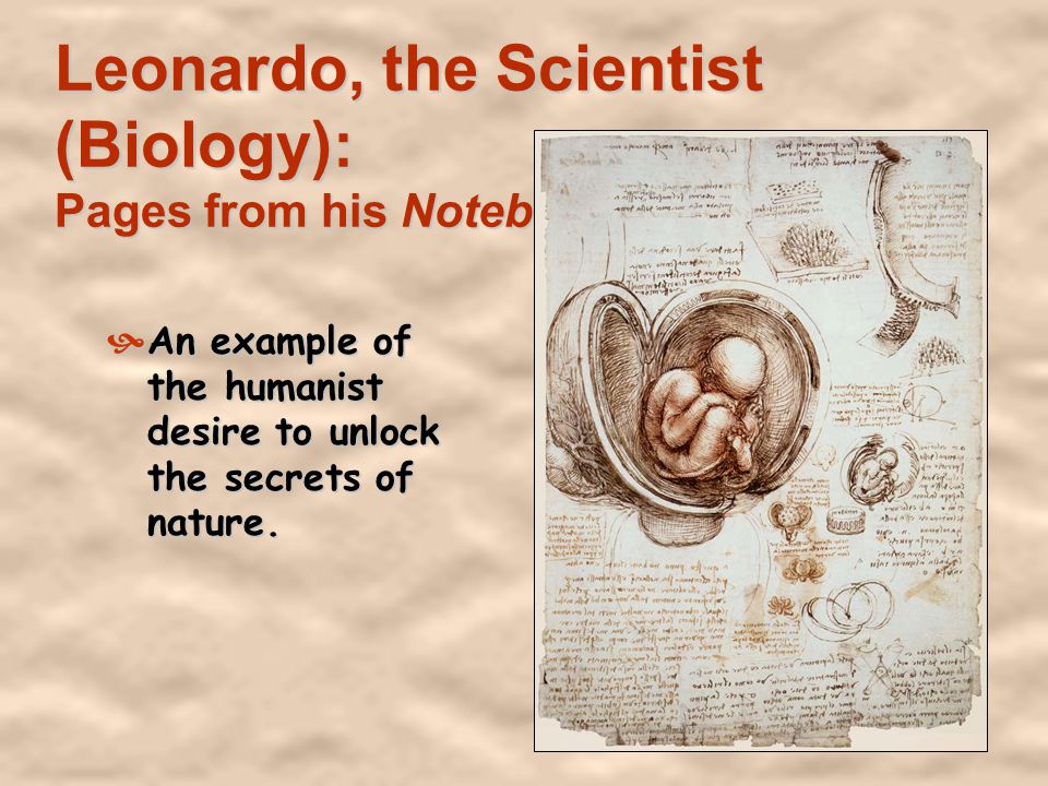 Leonardo, the Scientist (Biology): Pages from his Notebook