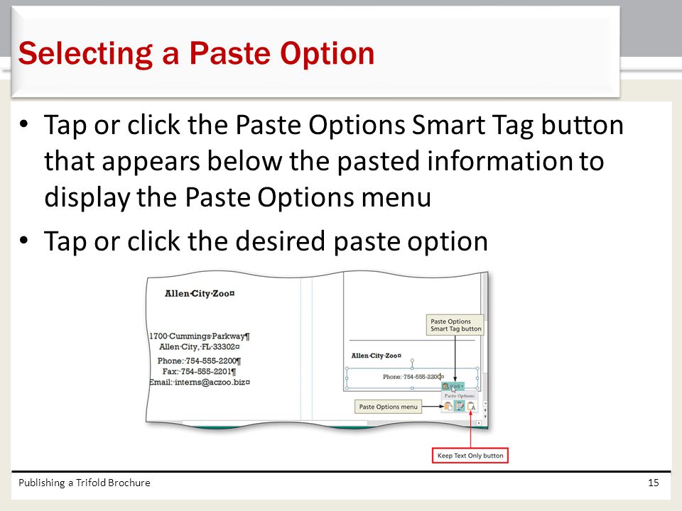 Selecting a Paste Option