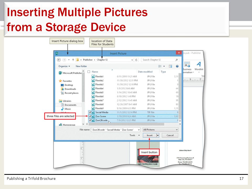 Inserting Multiple Pictures from a Storage Device
