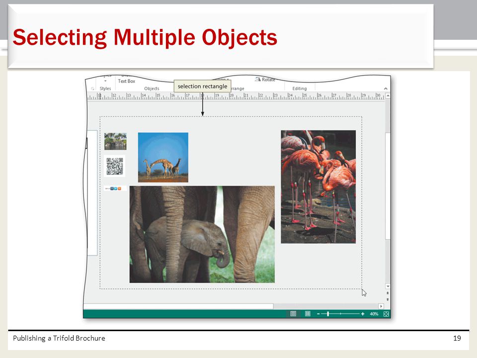 Selecting Multiple Objects