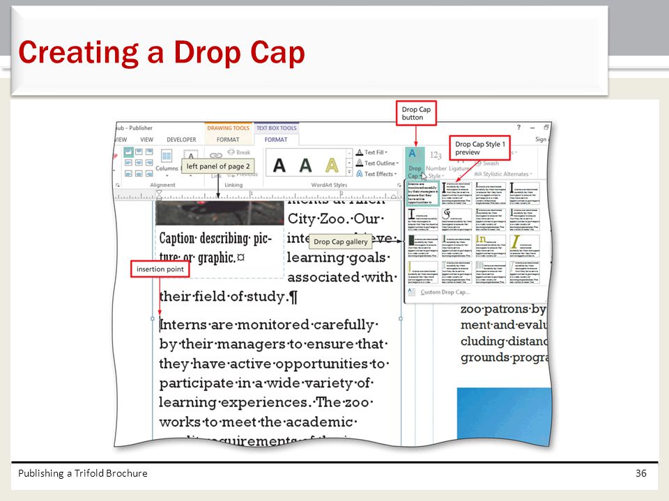 Creating a Drop Cap Publishing a Trifold Brochure