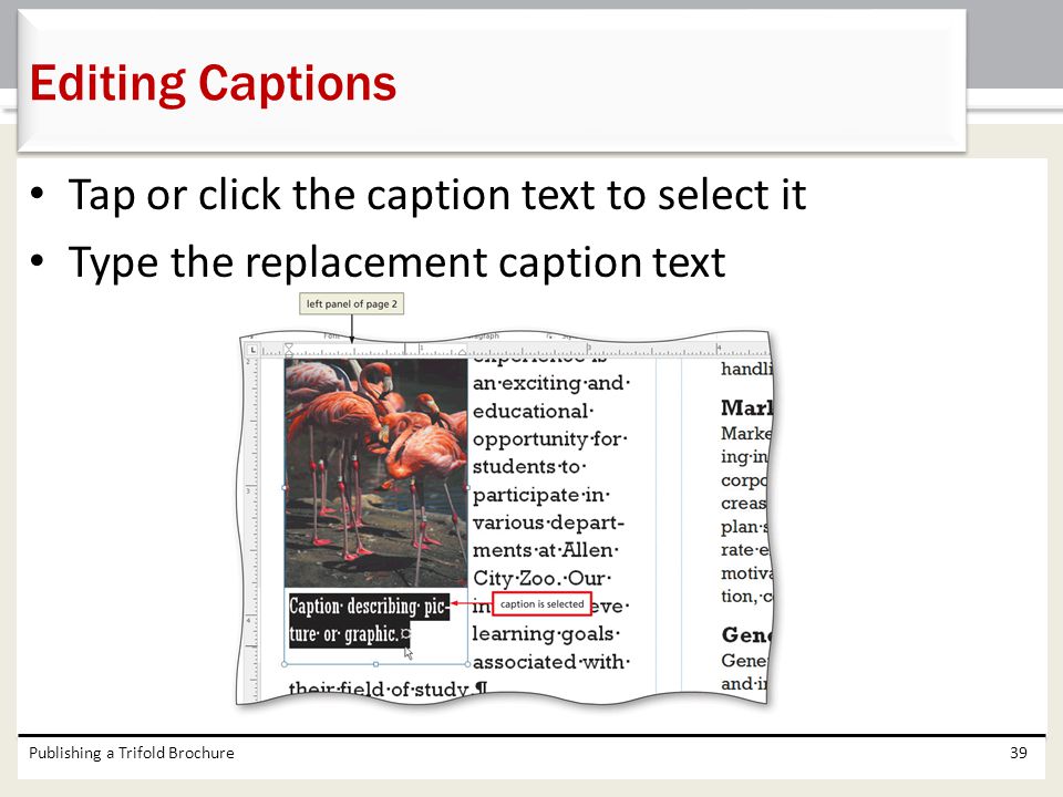 Editing Captions Tap or click the caption text to select it