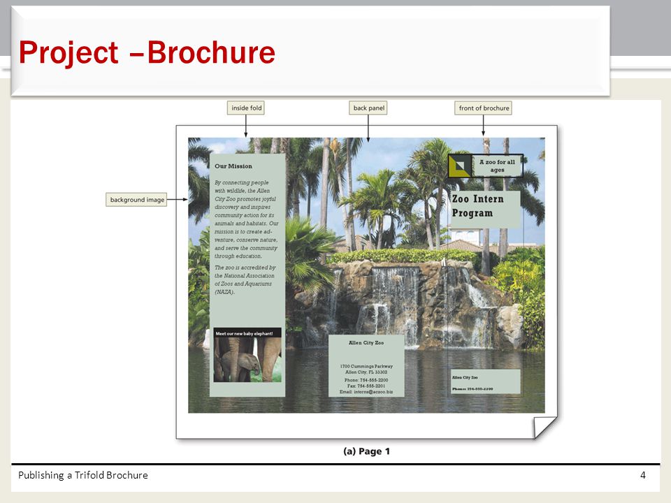 Project –Brochure Publishing a Trifold Brochure