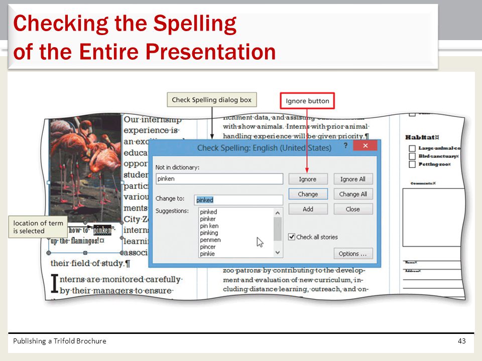 Checking the Spelling of the Entire Presentation
