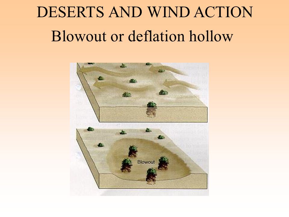 Deserts And Wind Action Ppt Download