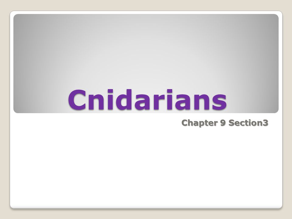 Cnidarians Chapter 9 Section3