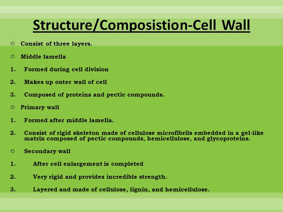 Class Presentation on Topic 2 4A– IB Biology HL - ppt download