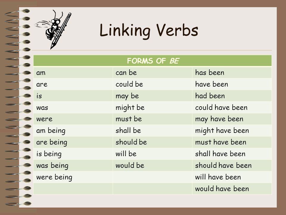 Verb t