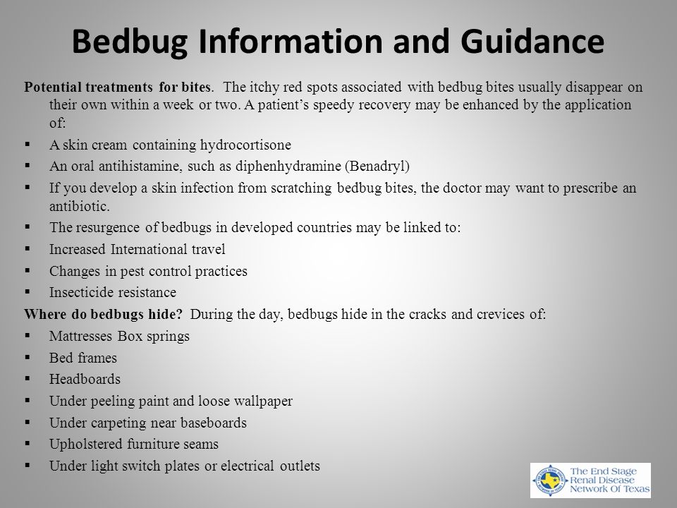 Bedbug Information and Guidance