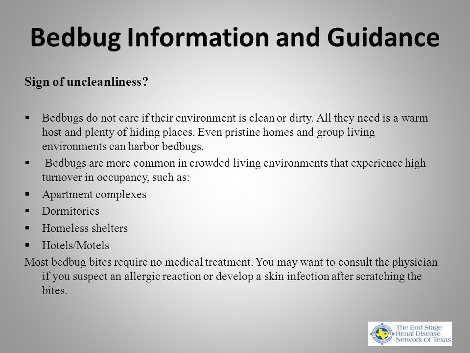 Bedbug Information and Guidance