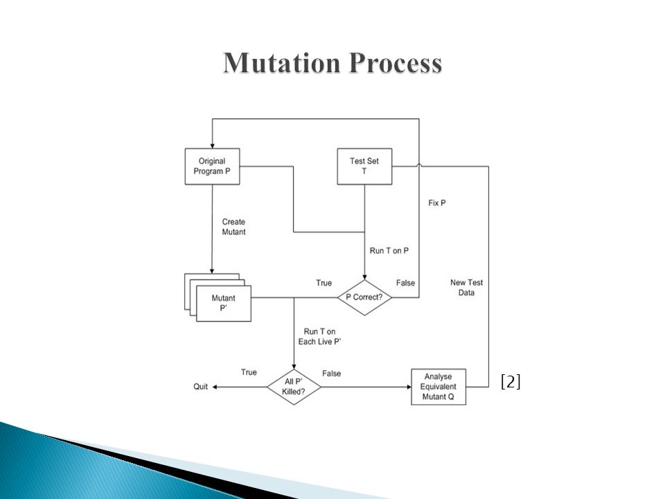 Mutation Process [2]