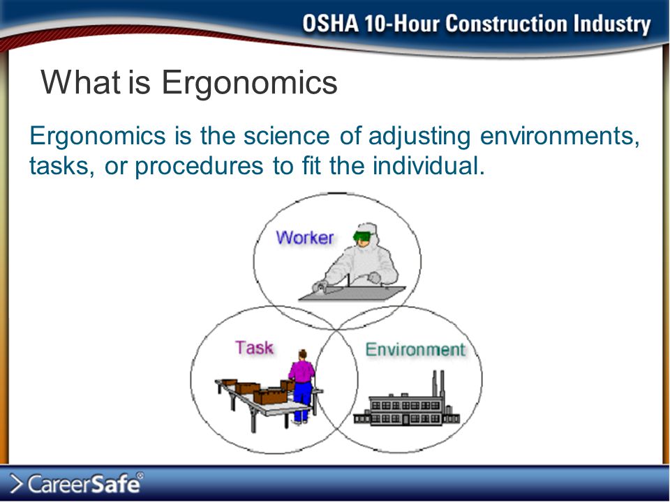 What is Ergonomics Ergonomics is the science of adjusting environments, tasks, or procedures to fit the individual.