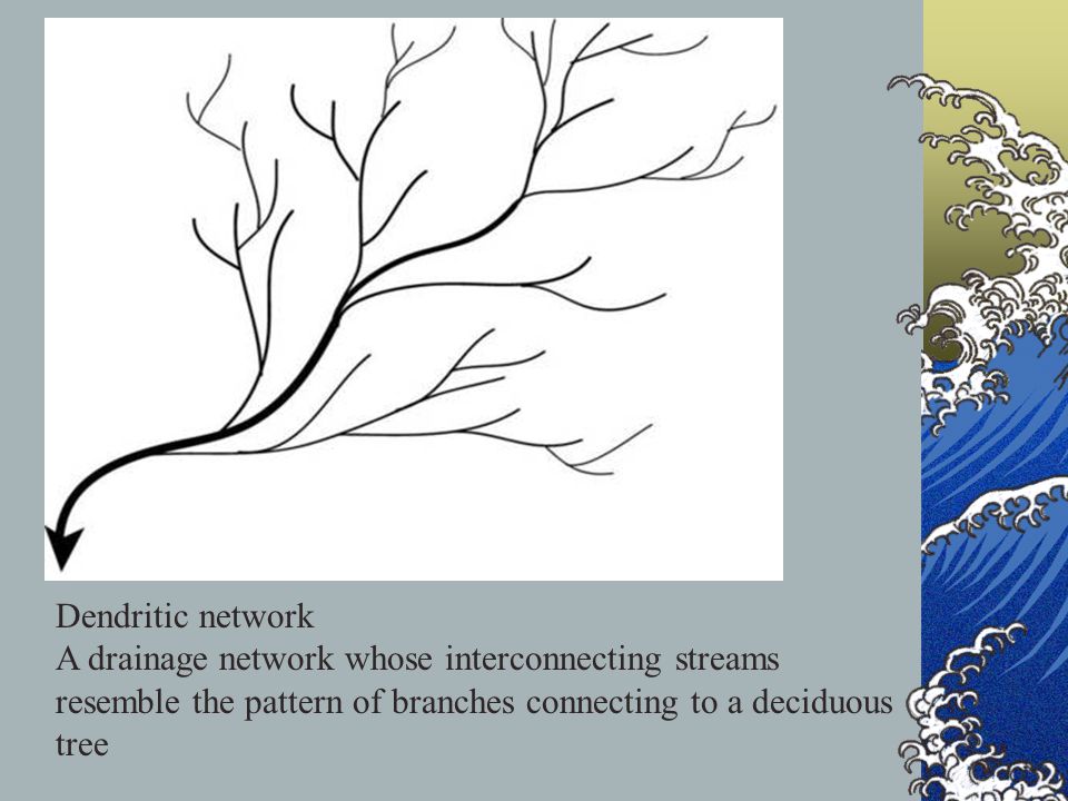 Dendritic network A drainage network whose interconnecting streams resemble the pattern of branches connecting to a deciduous tree